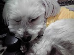 20170524120259-2.jpg
